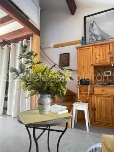 LES MIMOSAS à Saint-Trojan-les-Bains